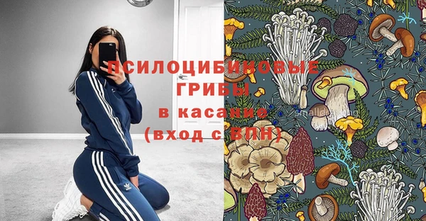 тгк Беломорск