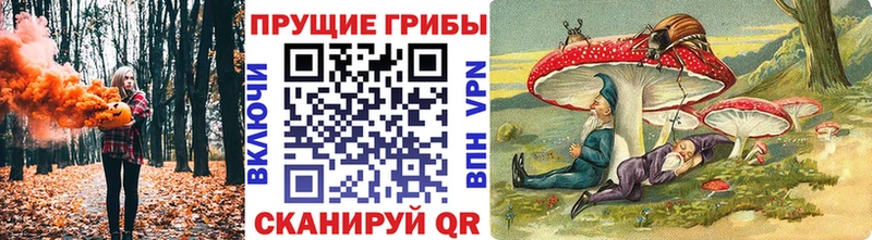 Галлюциногенные грибы мицелий  где найти наркотики  Бородино 